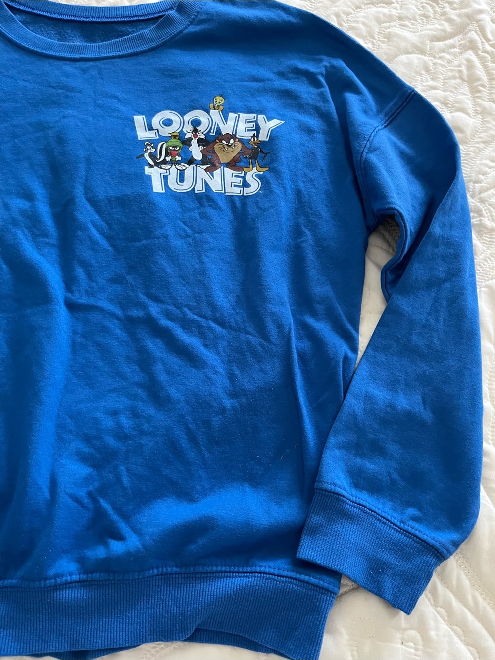 Warner Bros. Women's Blue Crewneck Sweatshirt small